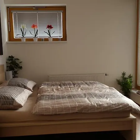 Apartamento With Parking Centre *